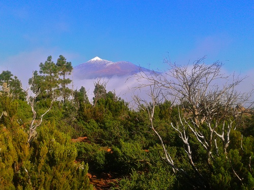 Teide Nemzeti Park
